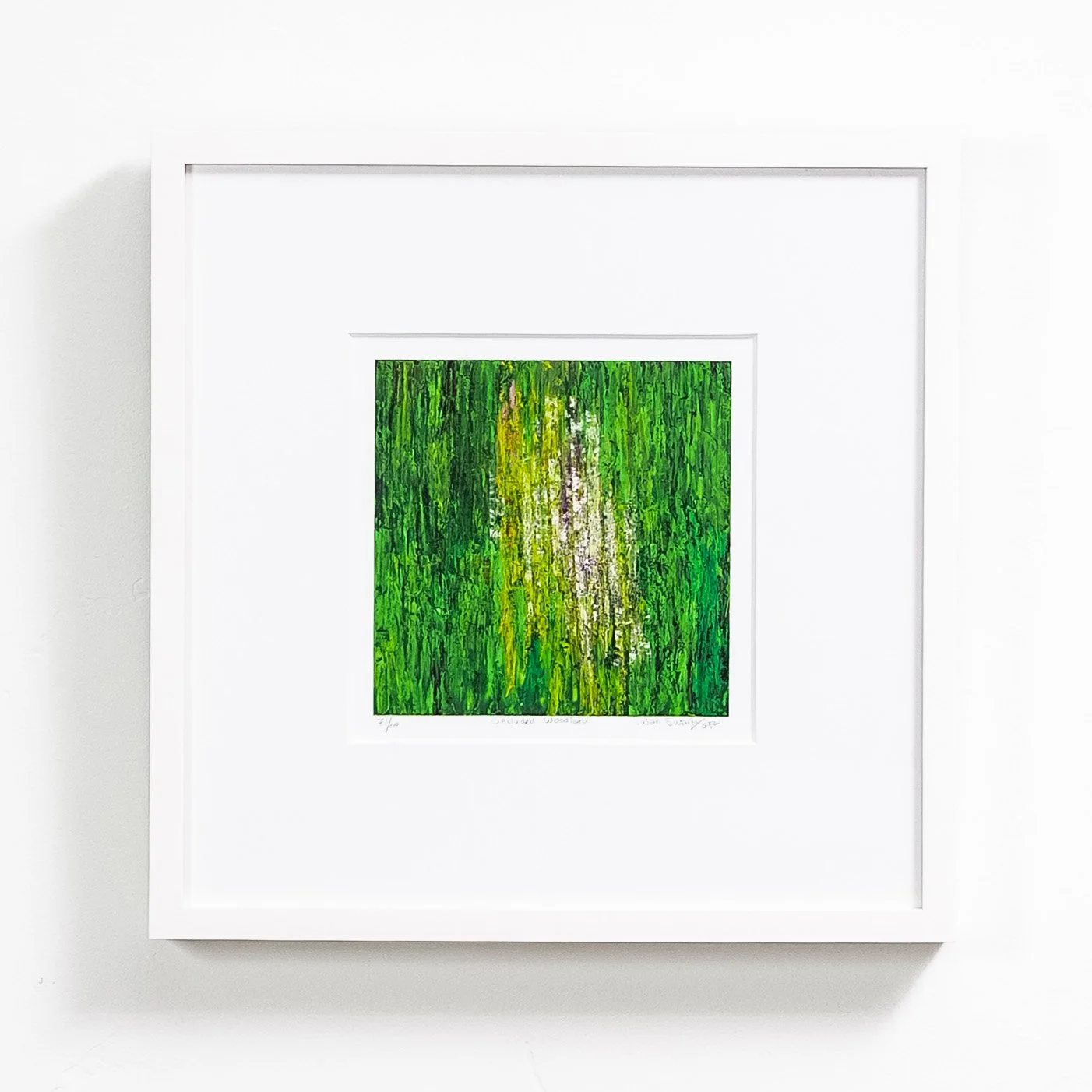 Shop — Susan Swartz Studios